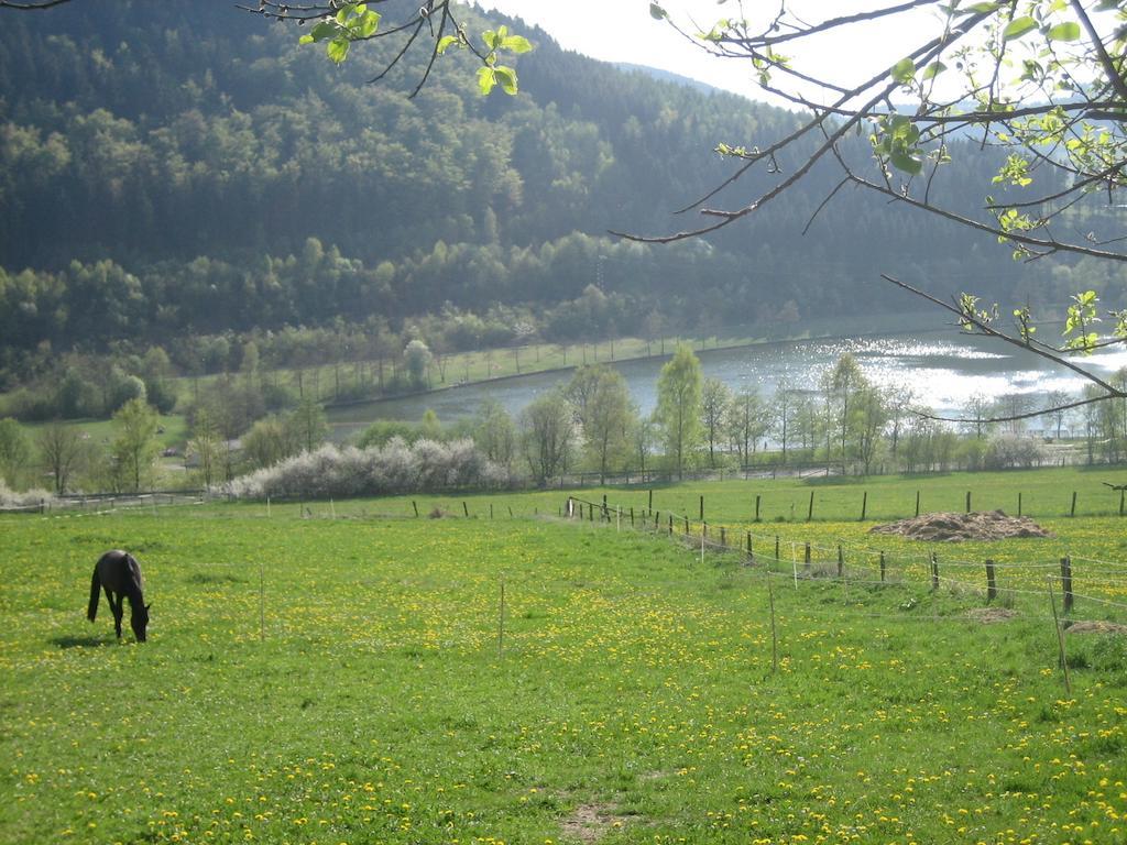 Ferienwohnung Inge Steinruecken Winterberg Rum bild