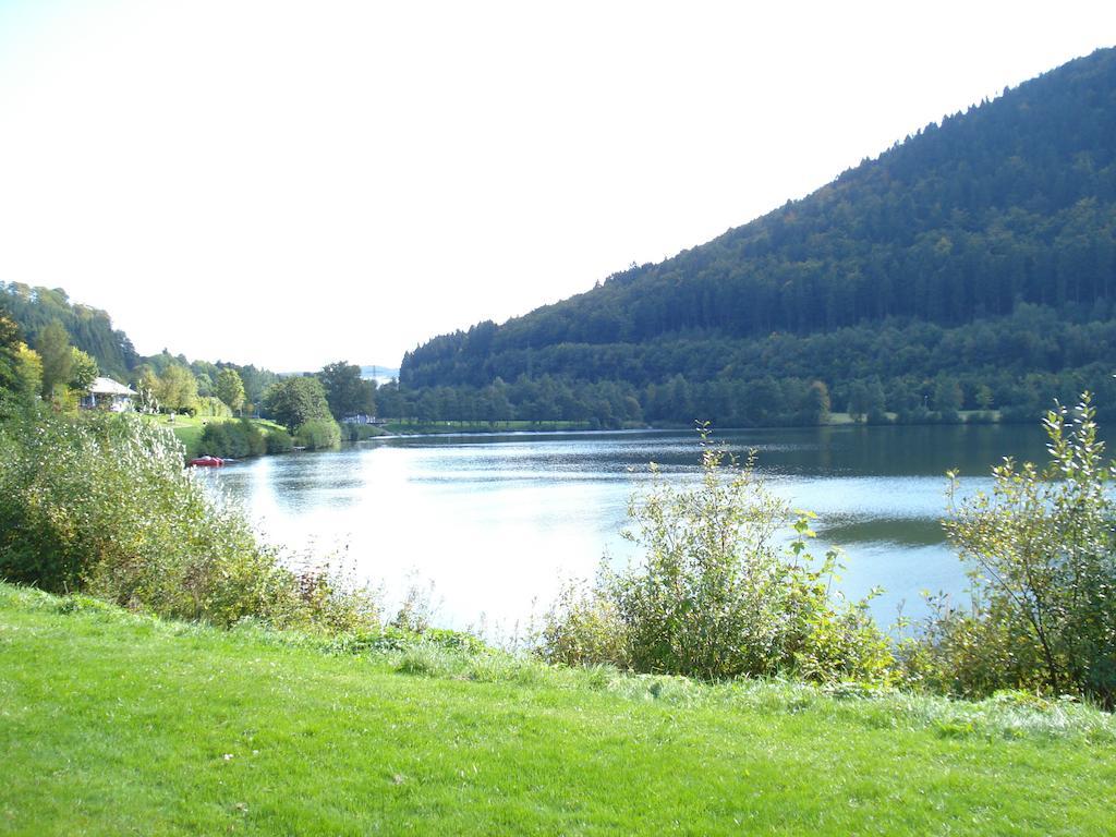 Ferienwohnung Inge Steinruecken Winterberg Rum bild
