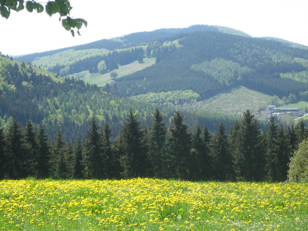Ferienwohnung Inge Steinruecken Winterberg Exteriör bild