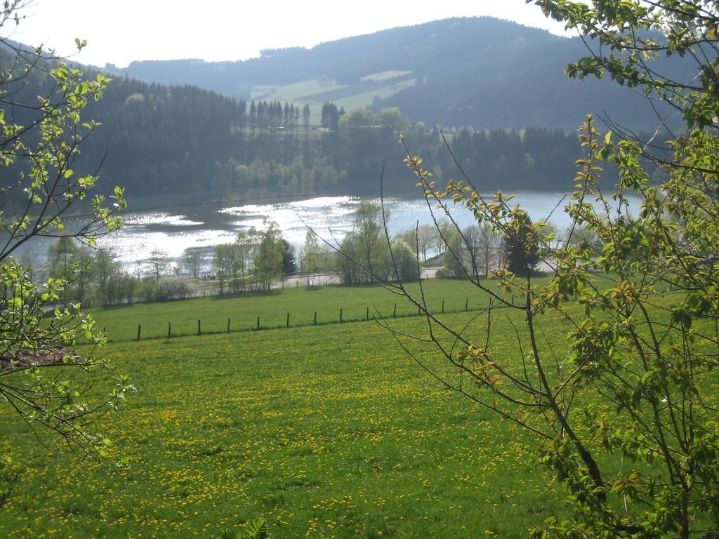 Ferienwohnung Inge Steinruecken Winterberg Exteriör bild